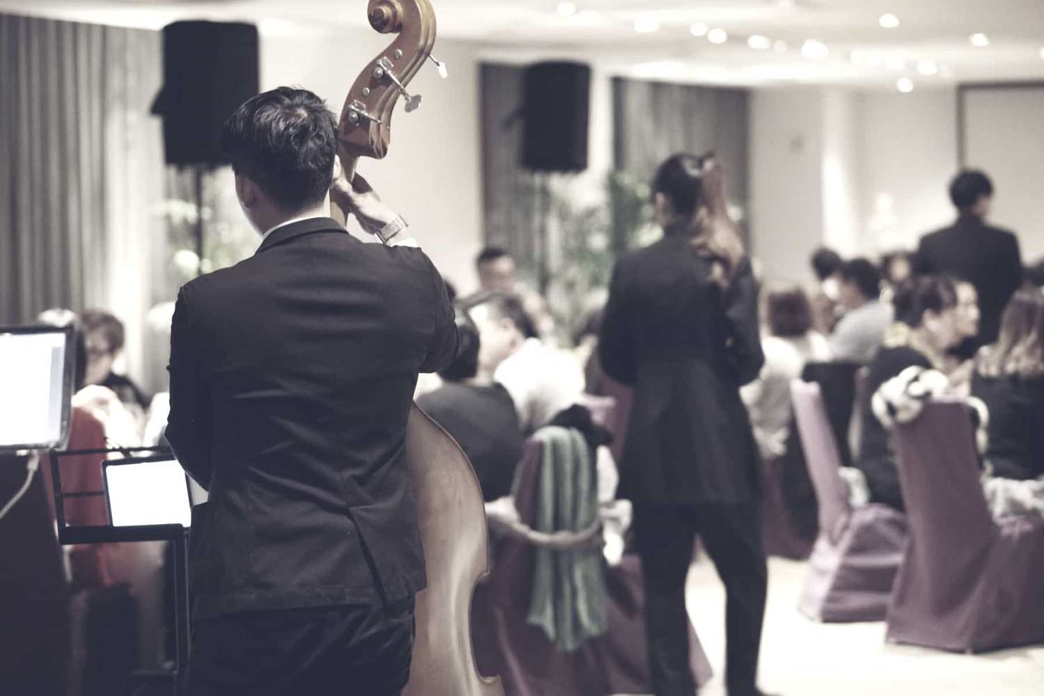 Joueur de contrebasse jouant lors d'un repas dans un hôtel