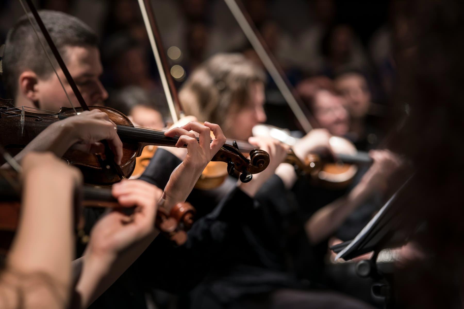 Musiciens en live avec des instruments à corde