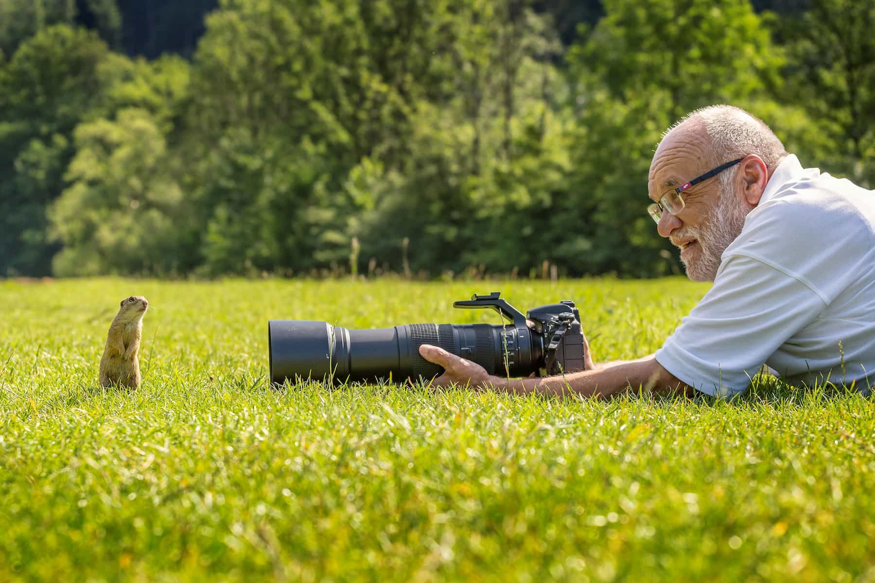 Homme prenant en photo de près un petit animal