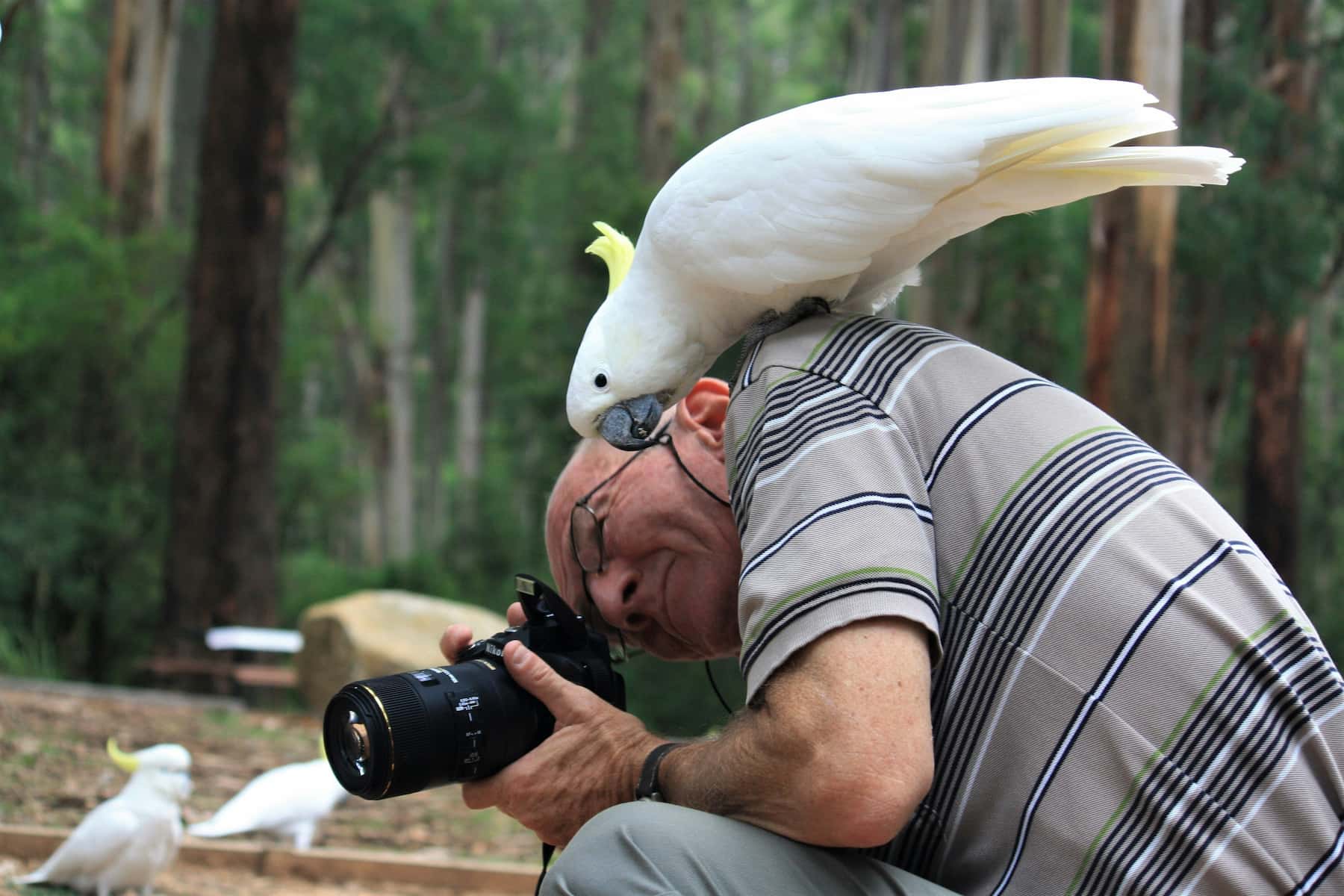 Homme prenant en photo un oiseau