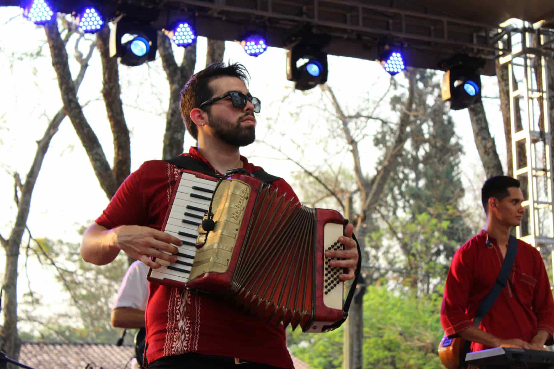 Concert d'un accordéoniste en live