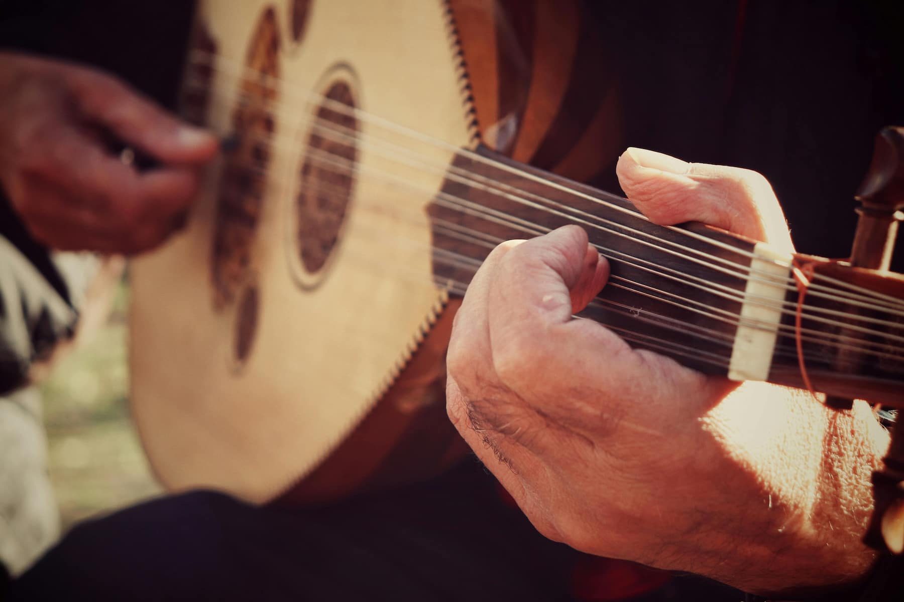 Zoom sur un instrument à cordes celtique