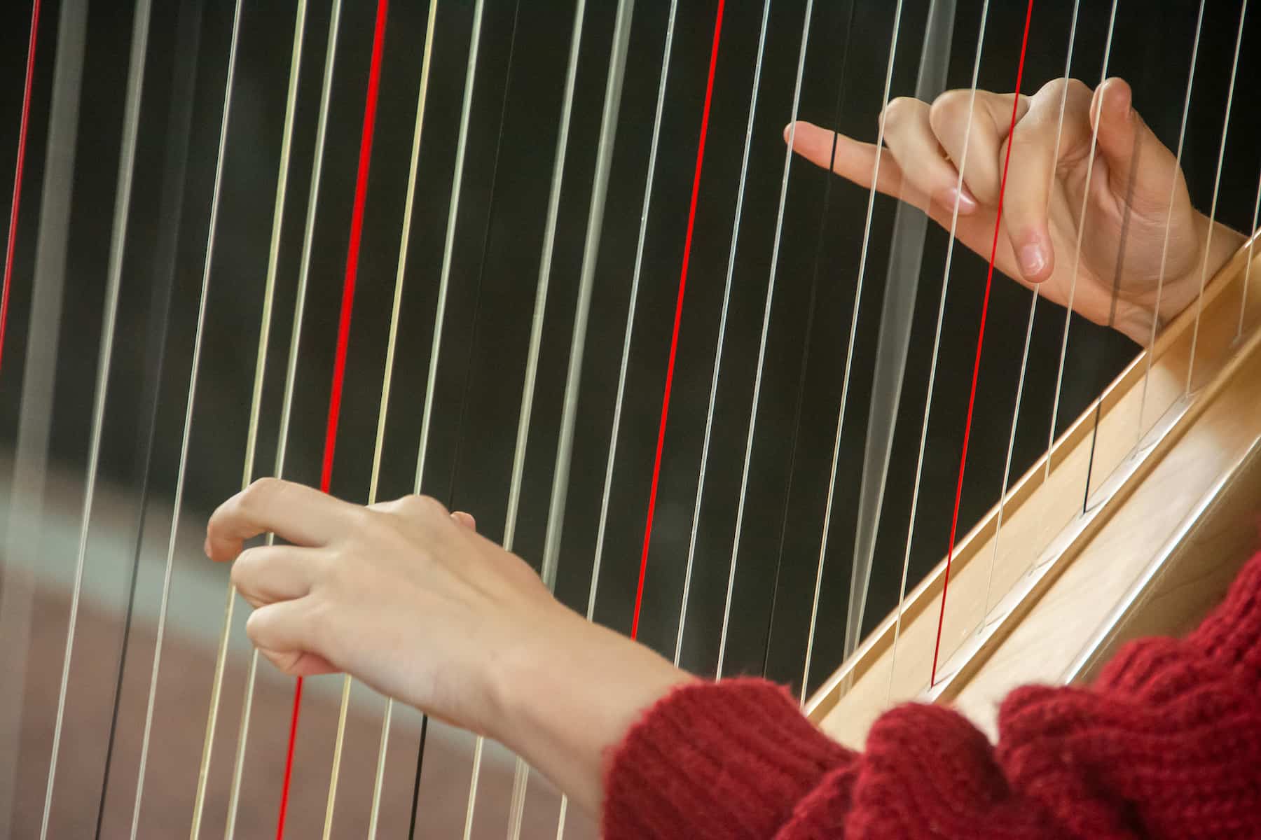 Zoom sur une harpe celtique
